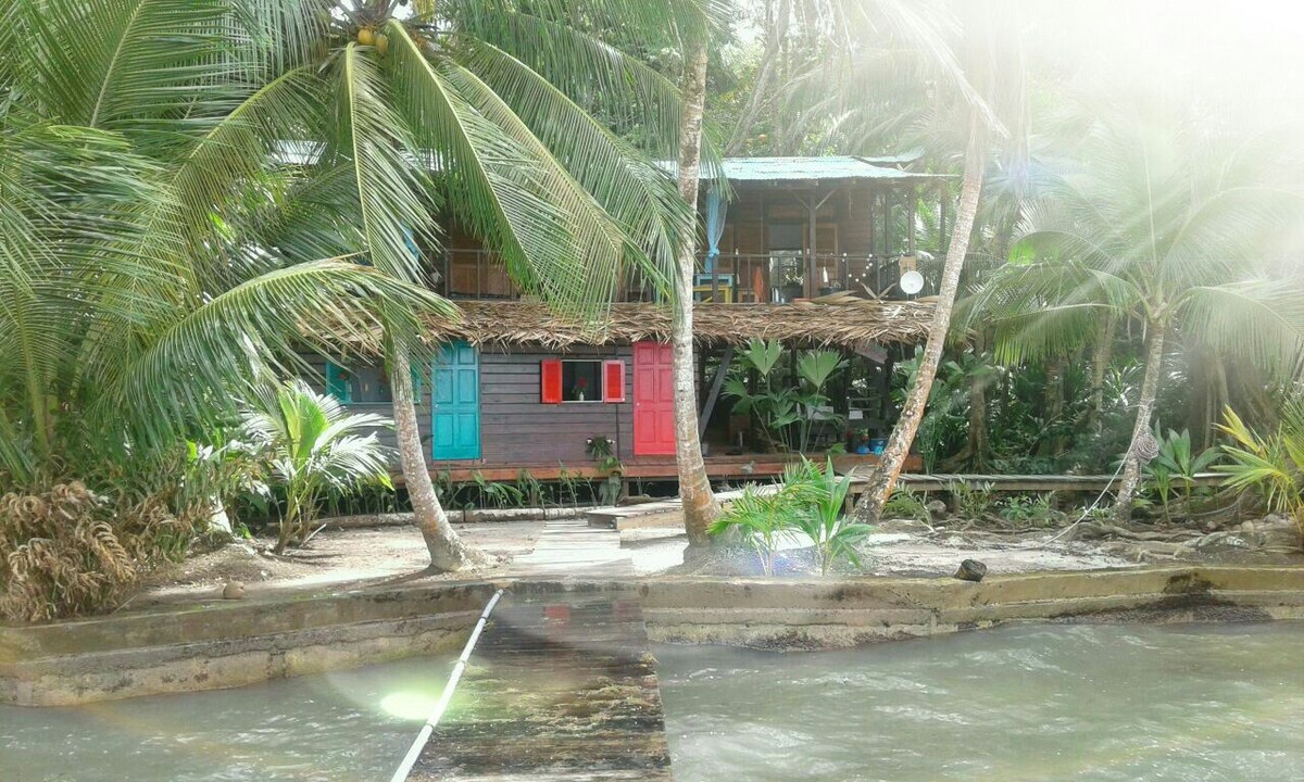 Dafa creative house Dafa creative house